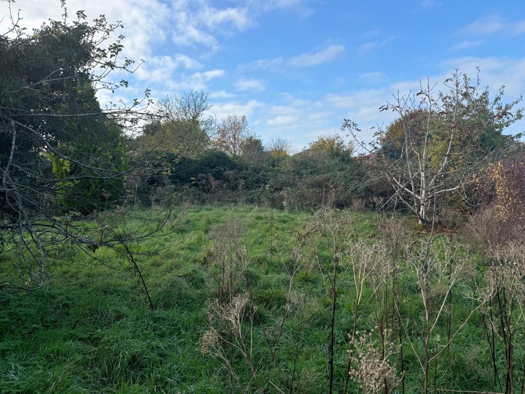 Lot: 86 - DETACHED PERIOD HOUSE FOR IMPROVEMENT ON QUARTER ACRE PLOT - Rear garden